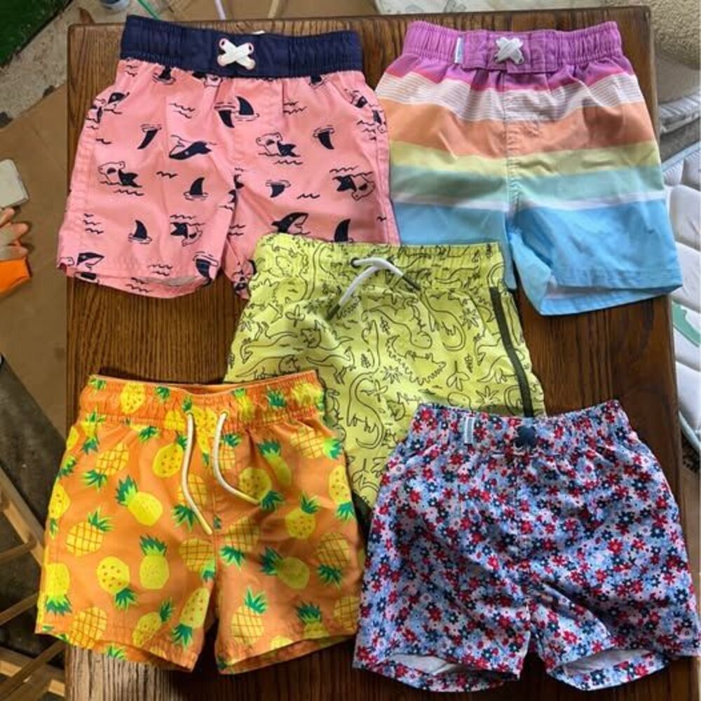 Toddler Boys Swim Trunks Lot of 5, Size 2T, RuggedButts & Carter's